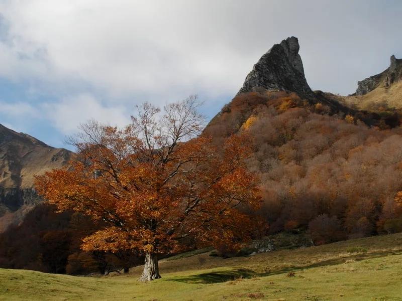 vallee chaudefour 1 vallée de chaudefour randonnée vallee chaudefour 1
