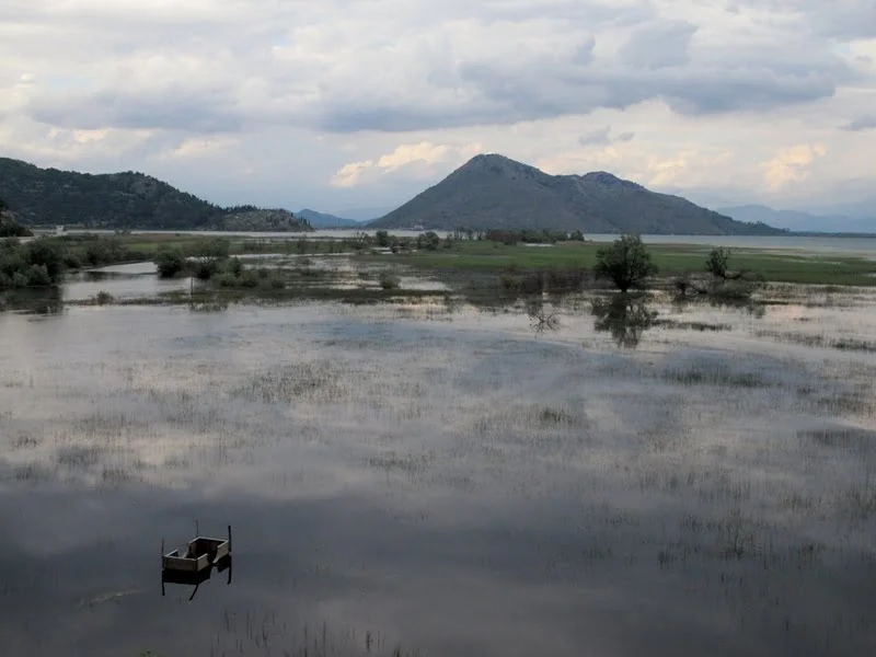 Visiter le superbe lac Skadar au Monténégro