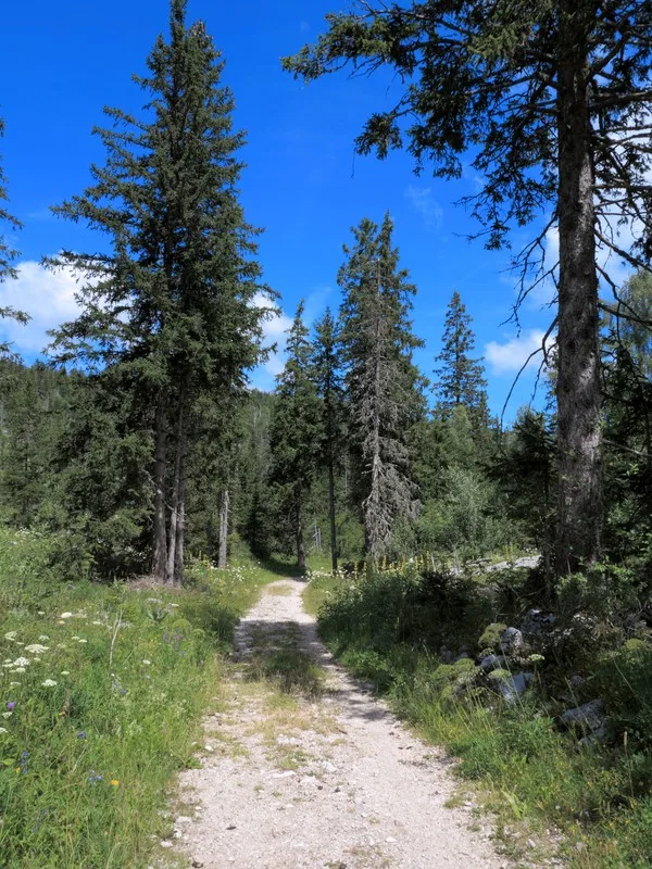 randonnée vercors 3 jours 7269 randonnée vercors 3 jours 7269