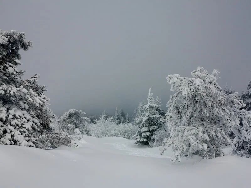 Randonnée en raquettes sur les crêtes du Pilat