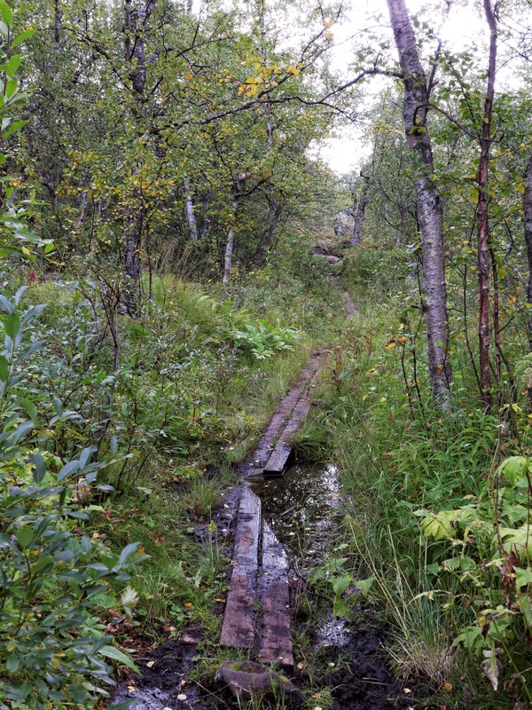 padjelantaleden 9252 padjelantaleden 9252