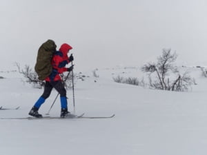 kungsleden hiver randonneur ski