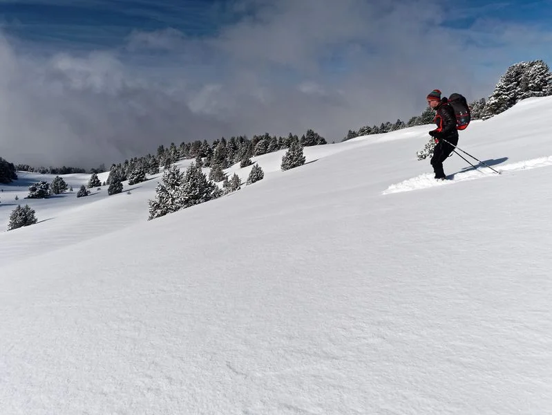 ski vercors poudreuse ski de randonnée nordique vercors ski vercors poudreuse