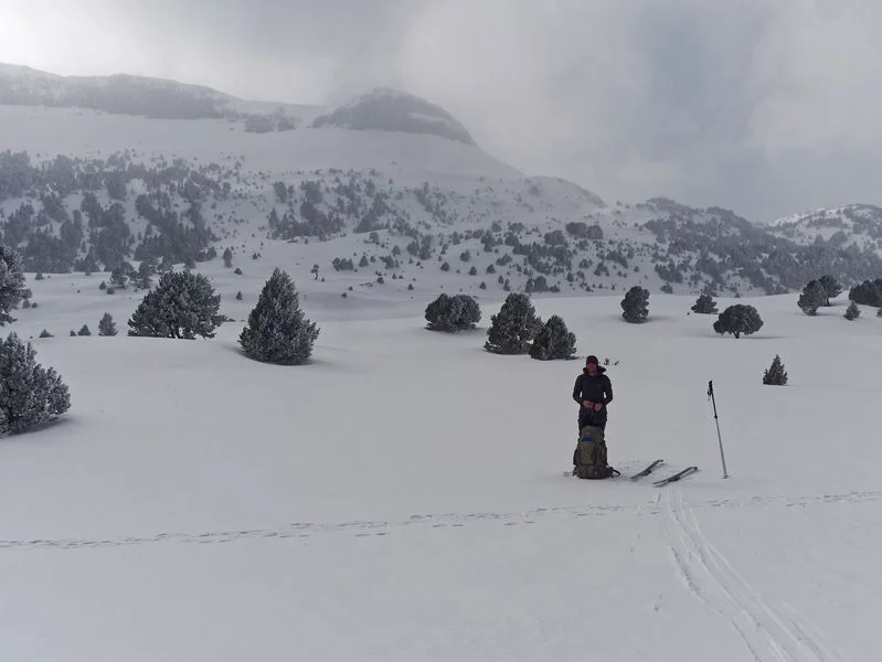 vallée montagnette neige ski de randonnée nordique vercors vallée montagnette neige
