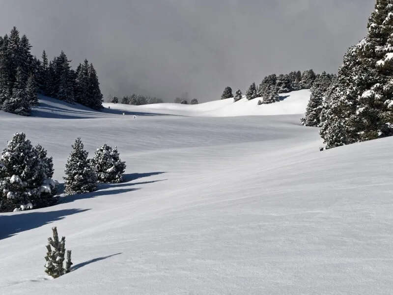 neige poudreuse plateau vercors neige poudreuse plateau vercors