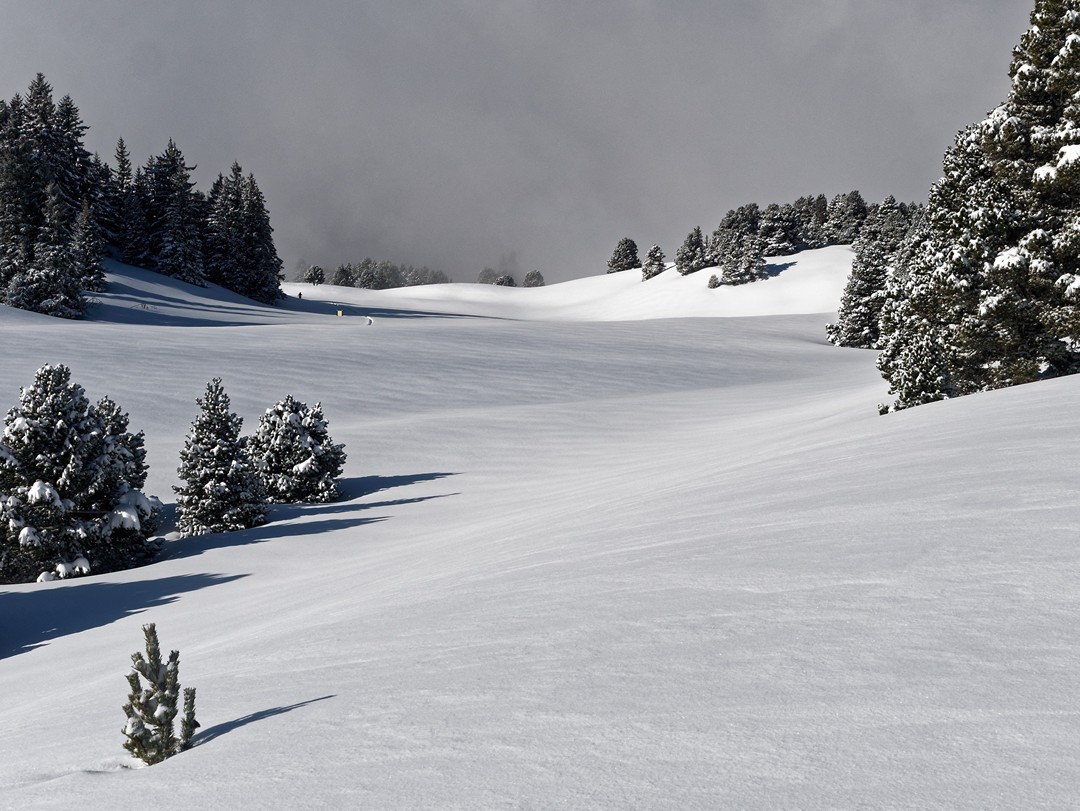 neige poudreuse plateau vercors Mes plus belles randonnées raquettes autour de Grenoble