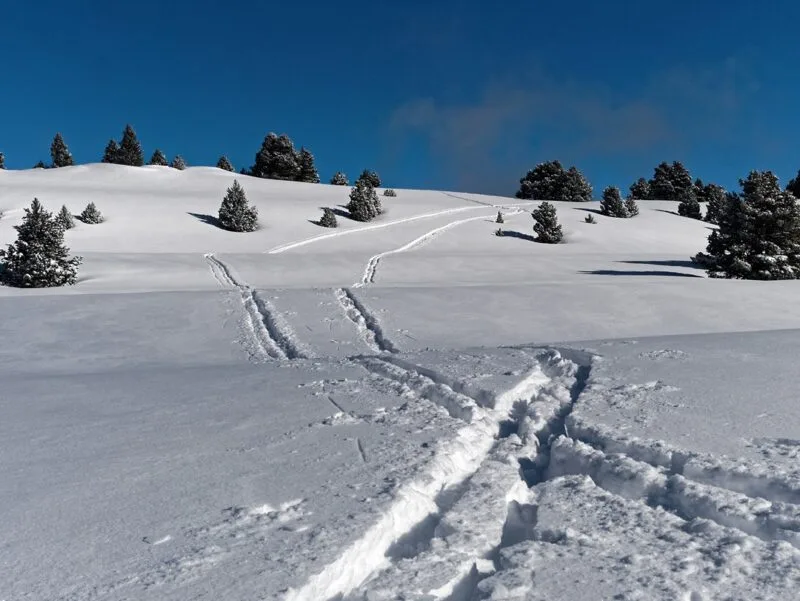 traces ski poudreuse traces ski poudreuse