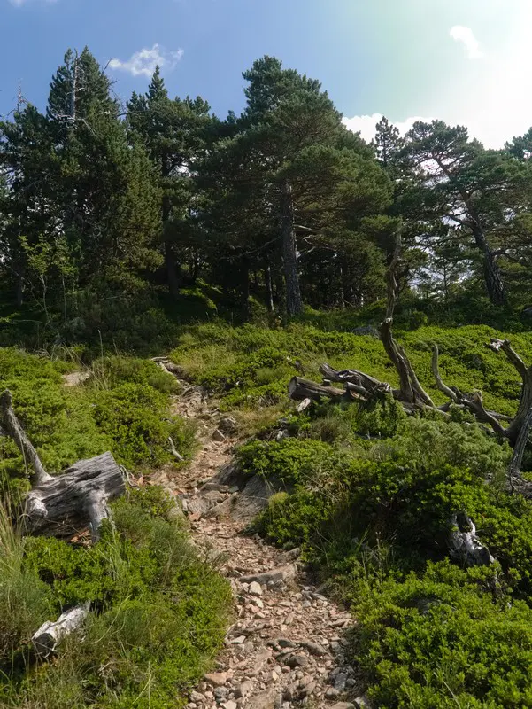 montee cortalets randonnée canigou montee cortalets
