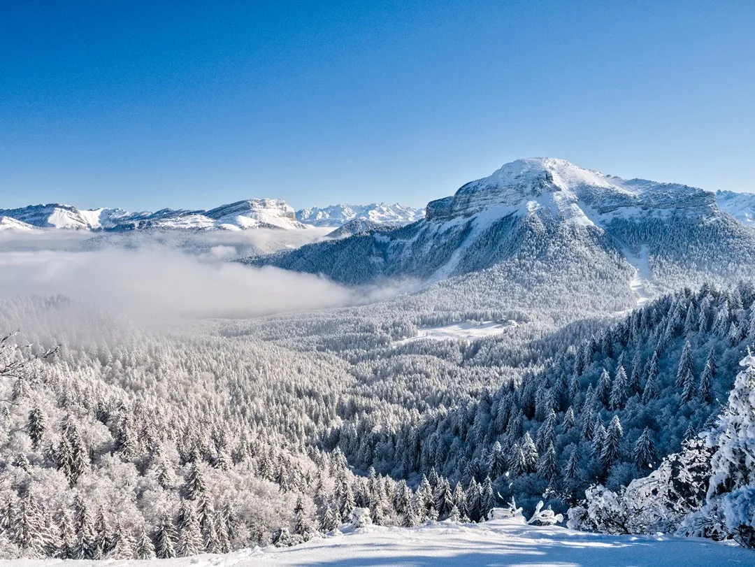 Les 5 randonnées raquettes en Chartreuse incontournables sous la neige