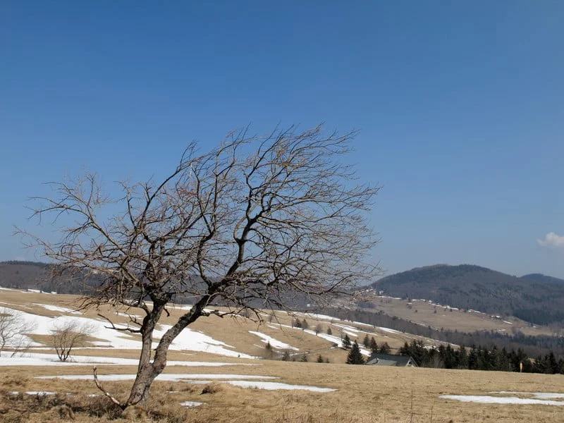 vosges randonnées accessibles en train vosges
