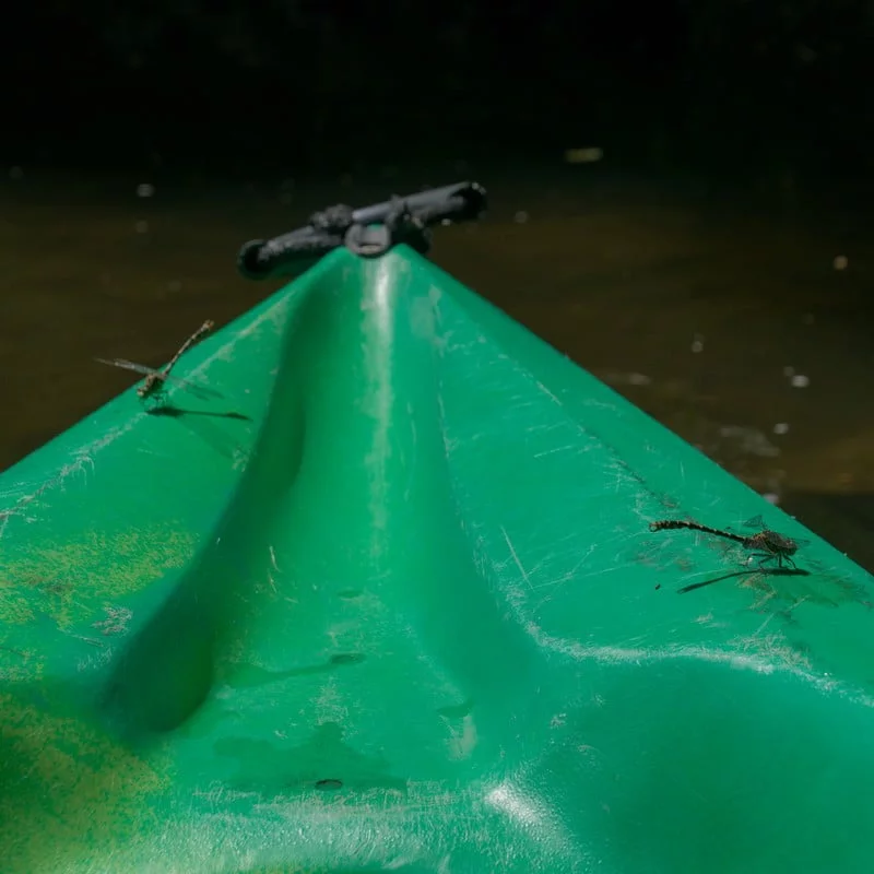 canoë allier libellule bleue canoë allier libellule bleue