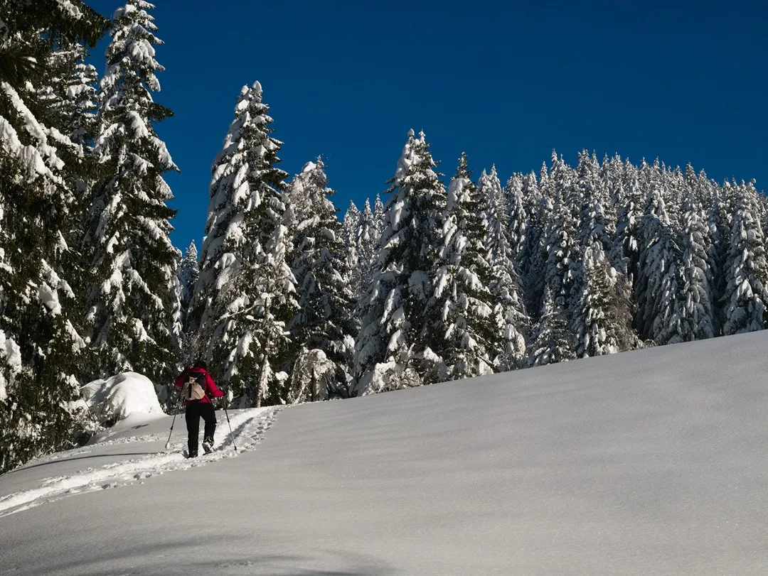 Mes 10 conseils pour les débutants en randonnée raquettes à neige en hiver
