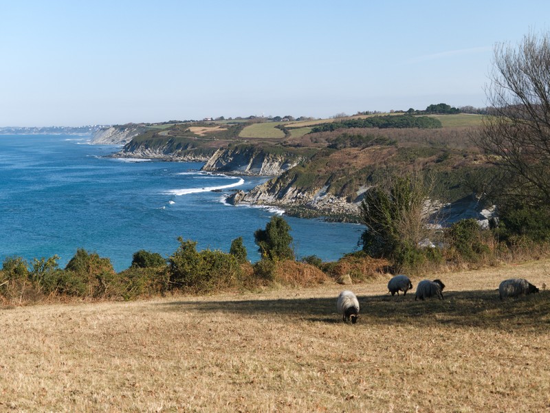 sentier du littoral pays basque domaine abbadia sentier du littoral pays basque domaine abbadia