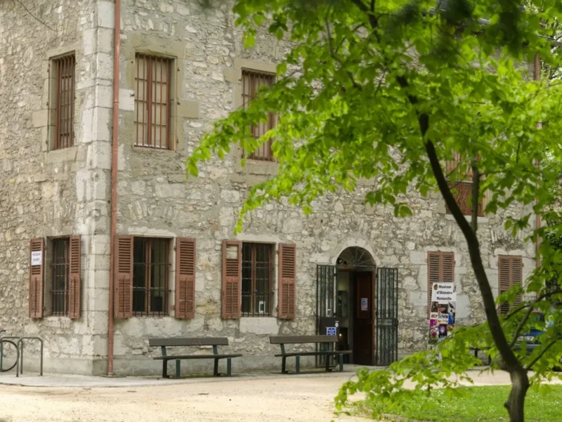 musee d histoire naturelle que faire à chambéry musee-d-histoire-naturelle