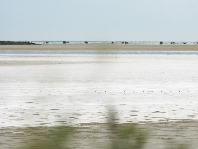 vélo camargue marais-asseches