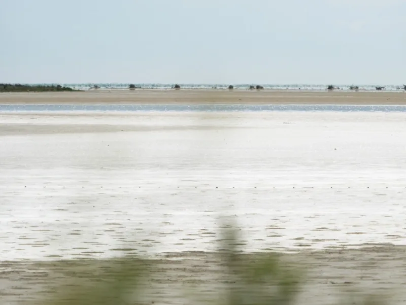 marais asseches vélo camargue marais-asseches