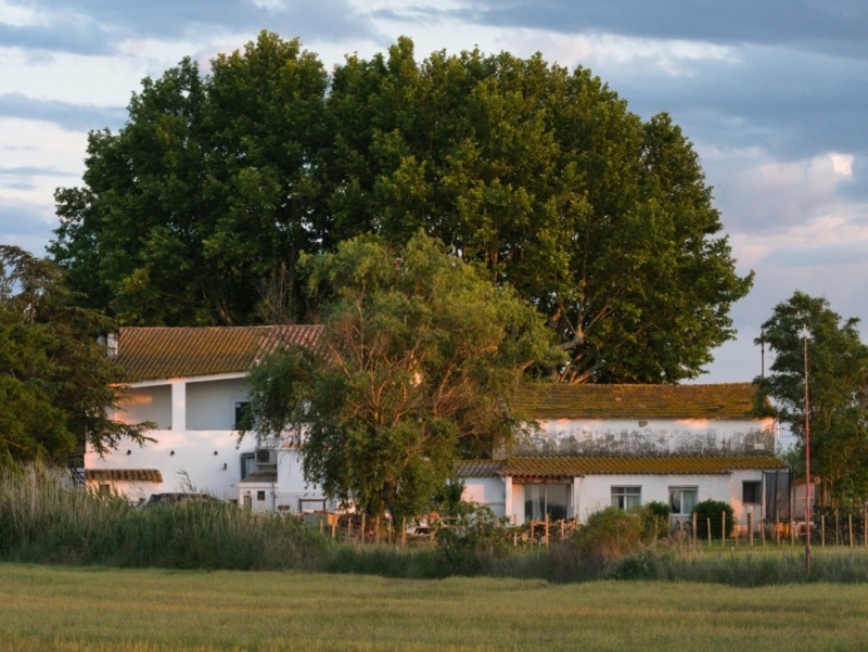 vélo camargue mas-camargue