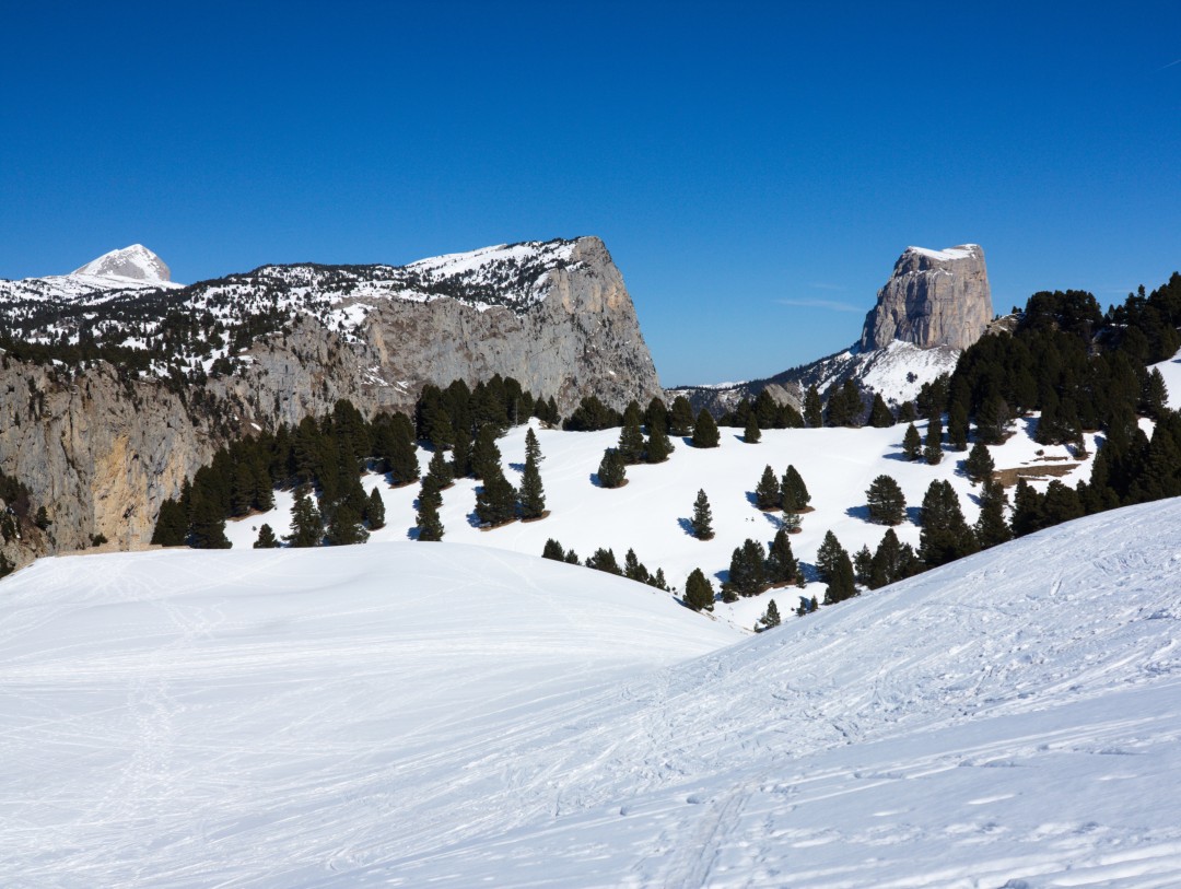 Aiguille été/hiver SINN Cal.1341 – Pour Montre – Occasion