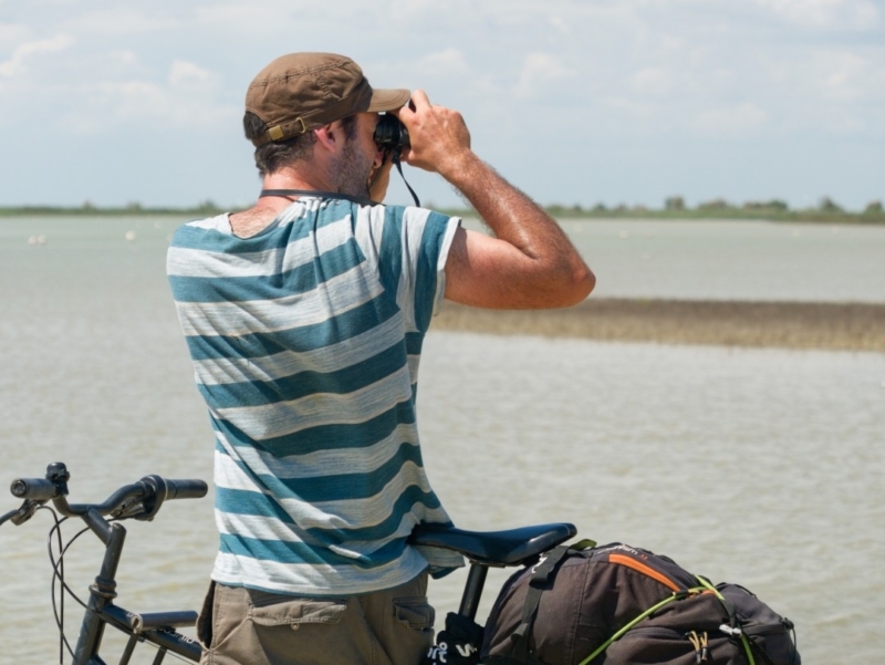 vélo camargue observation-oiseaux-camargue