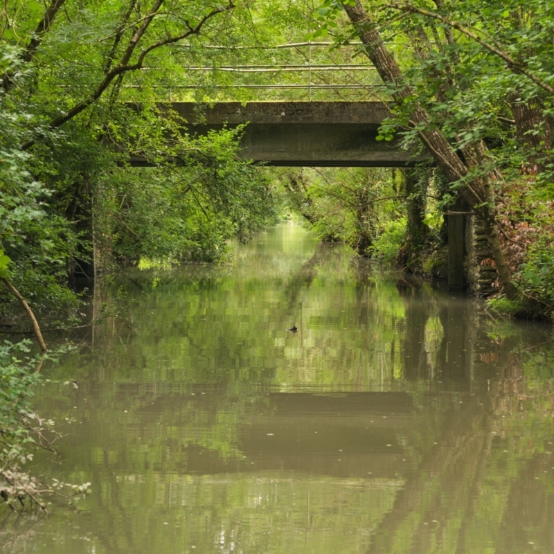 canal marais poitevin visiter le marais poitevin canal-marais-poitevin