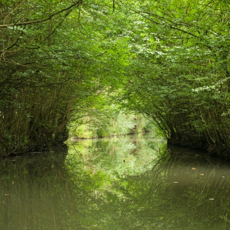 marais poitevin arcais visiter le marais poitevin marais-poitevin-arcais