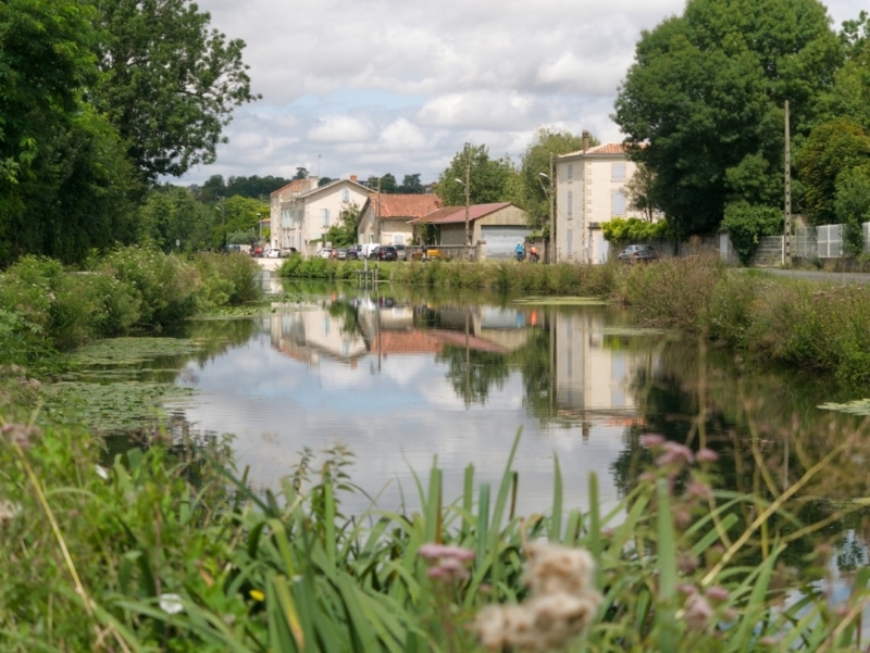 sevre niortaise niort visiter le marais poitevin sevre-niortaise-niort