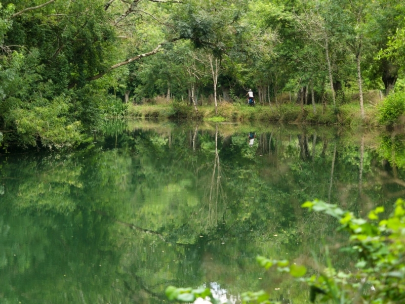 velofrancette chemin de halage visiter le marais poitevin velofrancette-chemin-de-halage