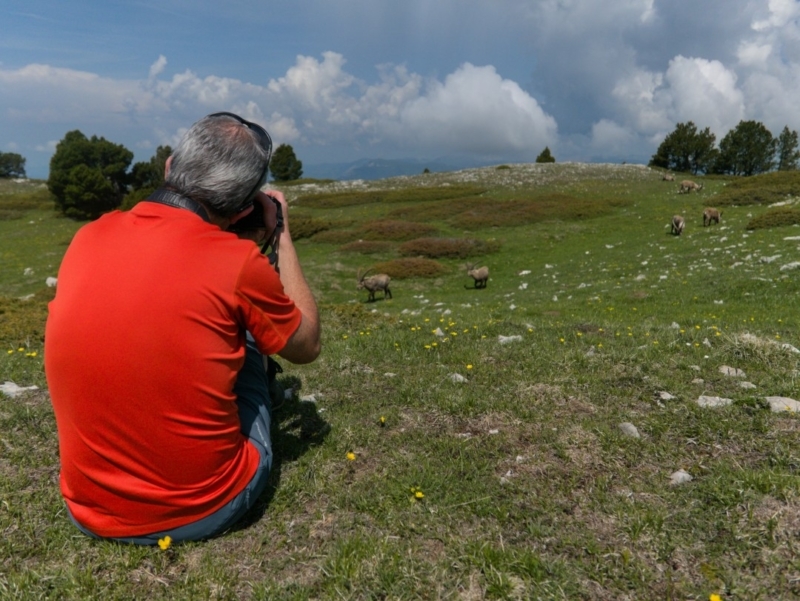 randonnée glandasse photographe-bouquetins