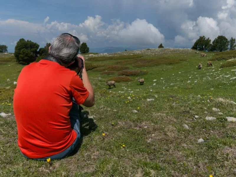 photographe bouquetins randonnée glandasse photographe-bouquetins