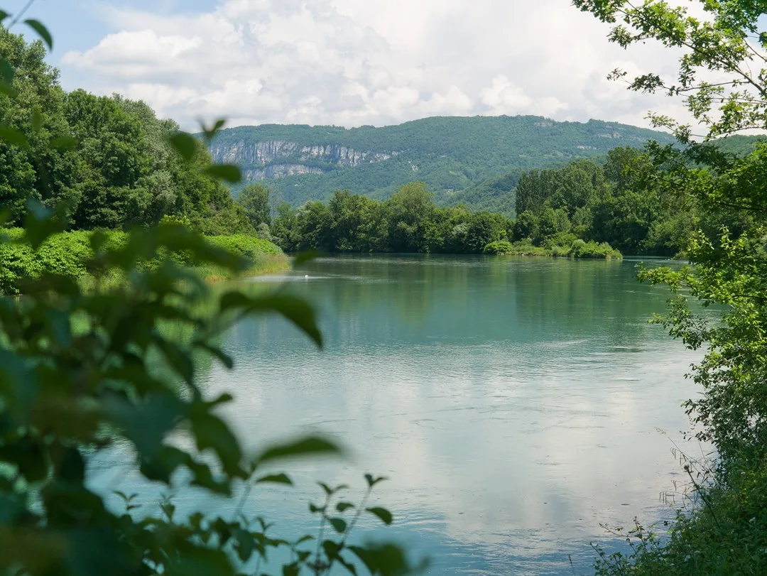 Roulez paisiblement à vélo pour 2 jours sur la véloroute ViaRhôna autour de Chanaz
