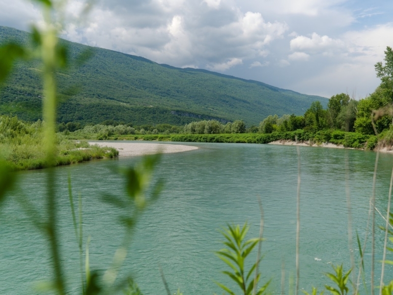 rhone sauvage seyssel rhone sauvage seyssel