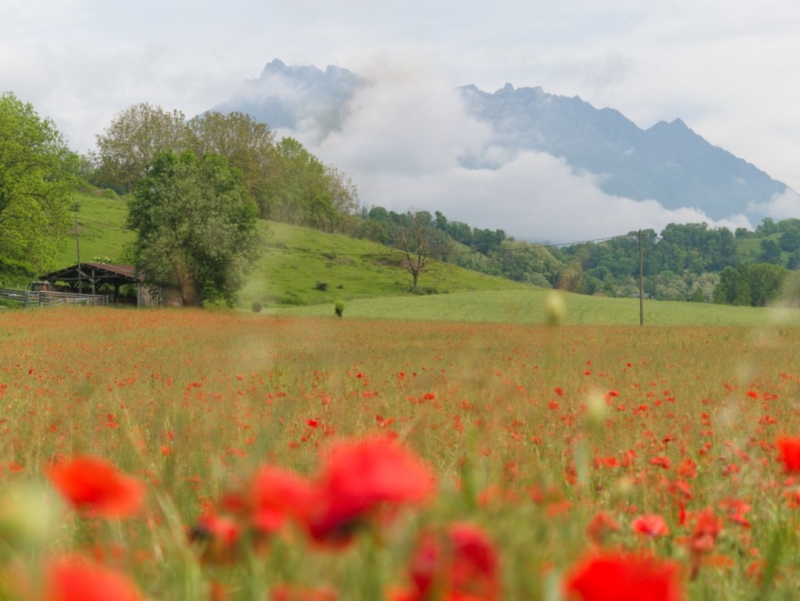 la belle via combe de savoie la belle via combe de savoie