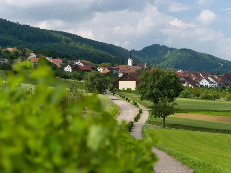 campagne typique jura suisse velo