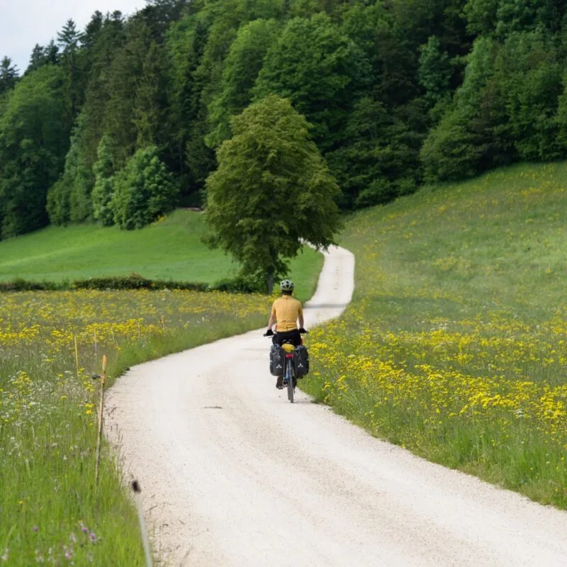 cycliste chemin forestier suisse a velo itineraire 7