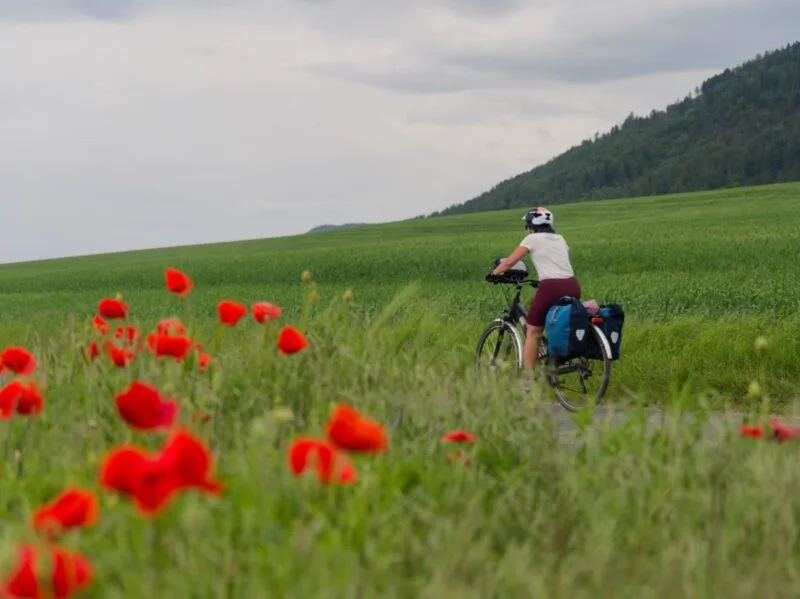 cyclotouriste champ coquelicot voyage velo suisse