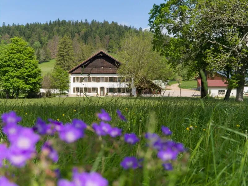 ferme agricole jura suisse fleurs
