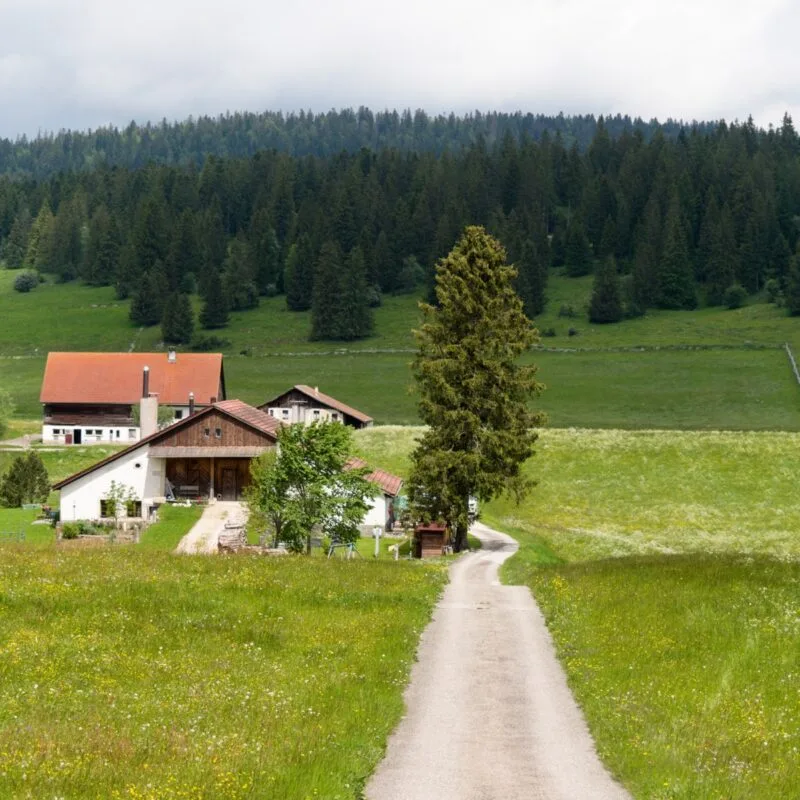 petite route ferme jura suisse velo